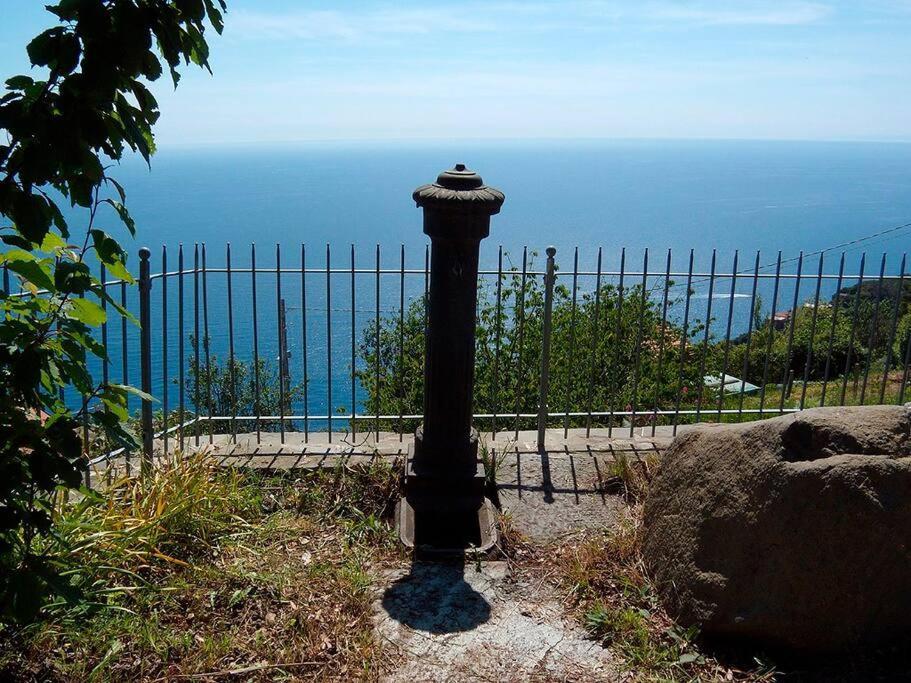 Nature&sea *