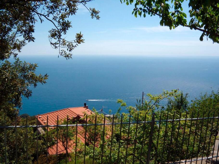 Nature&sea * Corniglia